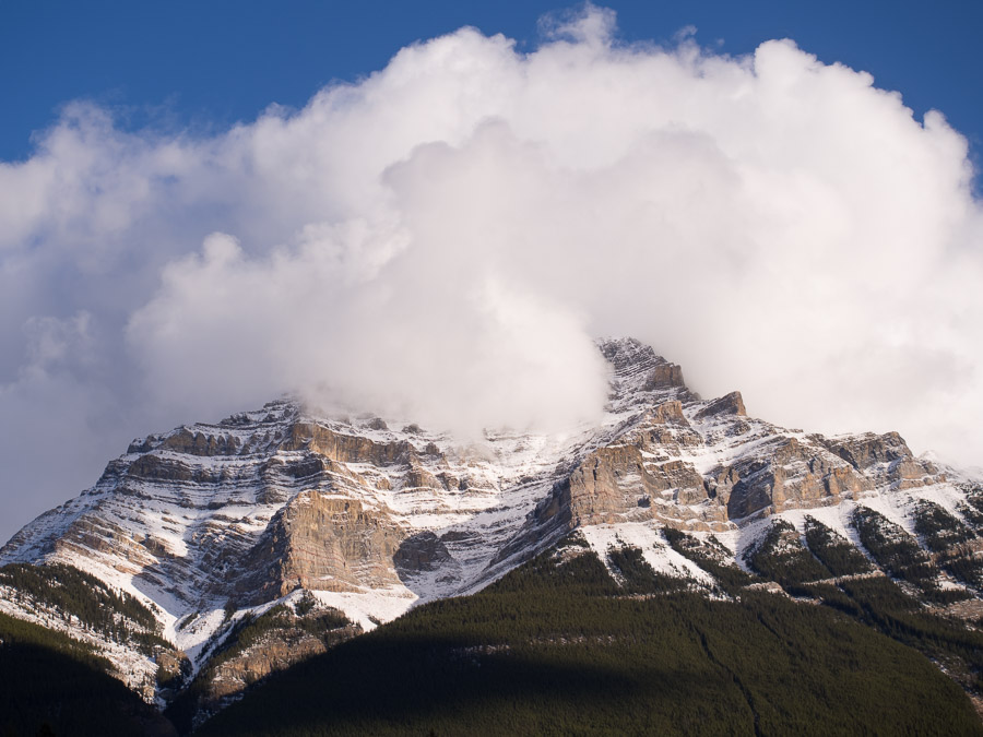 A mountain with its base covered in trees and its top vanishing into the clouds.