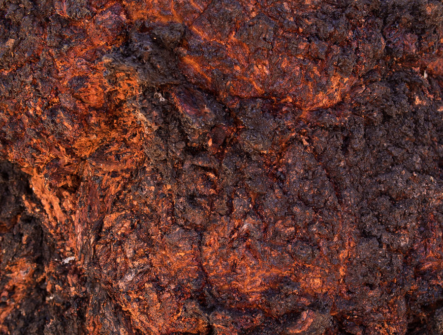 An abstract fractal pattern that looks like lava, it is actually tree bark.